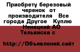 Приобрету березовый черенок  от производителя - Все города Другое » Куплю   . Ненецкий АО,Тельвиска с.